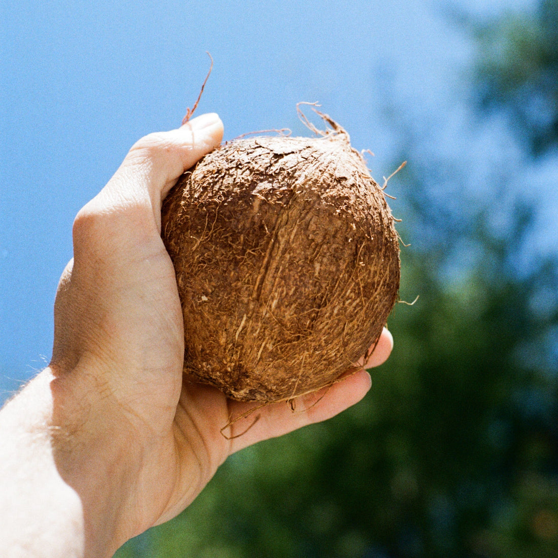 Why Our Prices Are Shifting (and What’s Going On with Coconut) 🌴💚