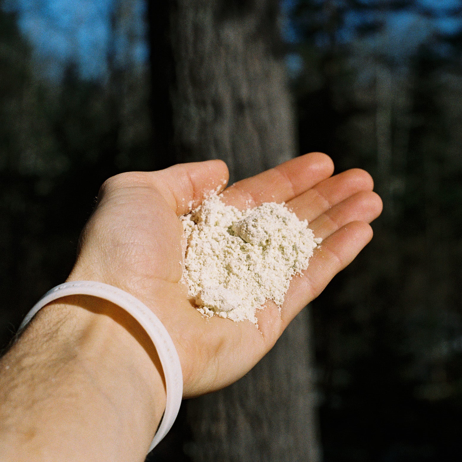 Organic Hemp Heart Protein Powder - LIV